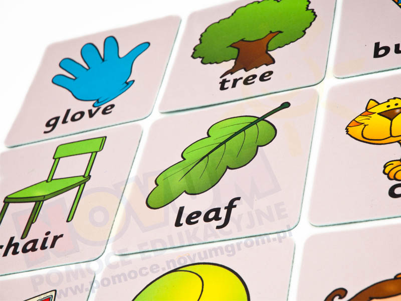 Novum Dywanik do nauki angielskiego - słówka