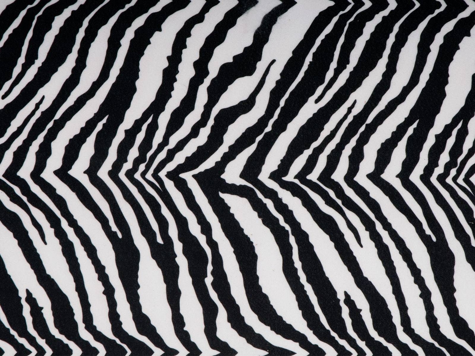 Novum Filc w rolce, zebra