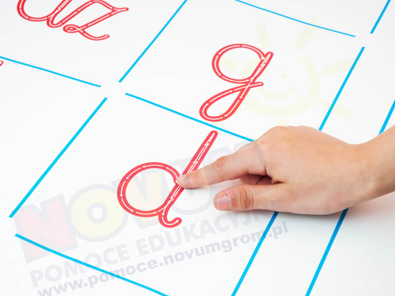 Novum Glottodywanik - litery