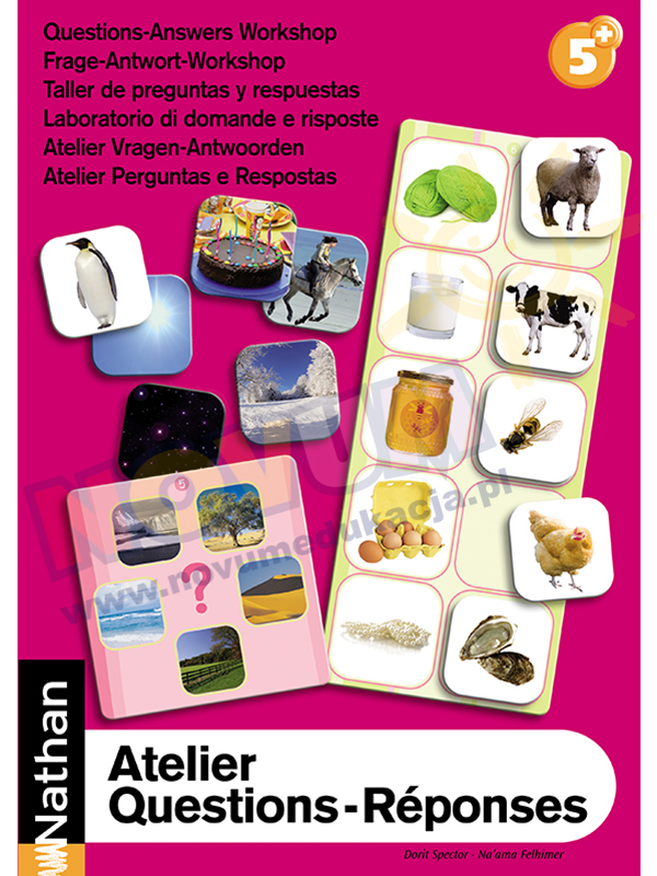 Novum Gra pytanie-odpowiedź