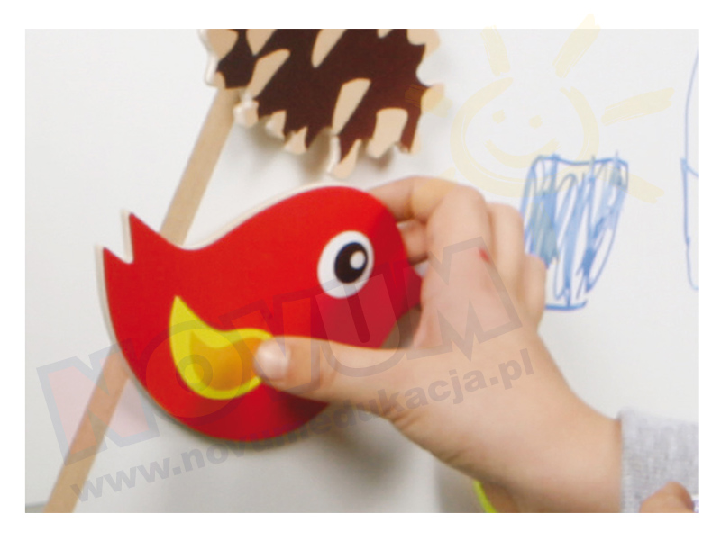 Novum Kolorowe Aplikacje