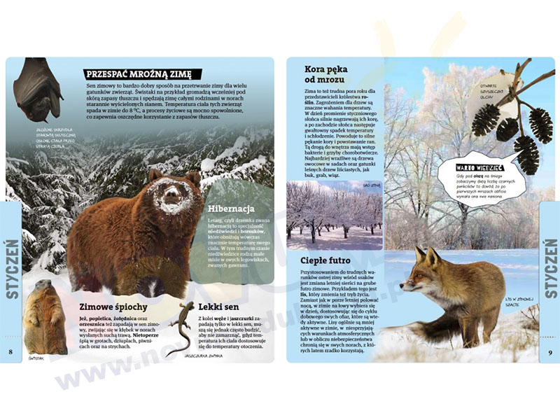 Novum Małgorzata Falencka - Jabłońska opowiada o przyrodzie