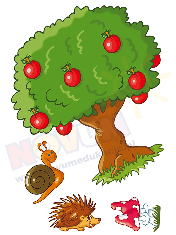 Novum Naklejka Jabłonka