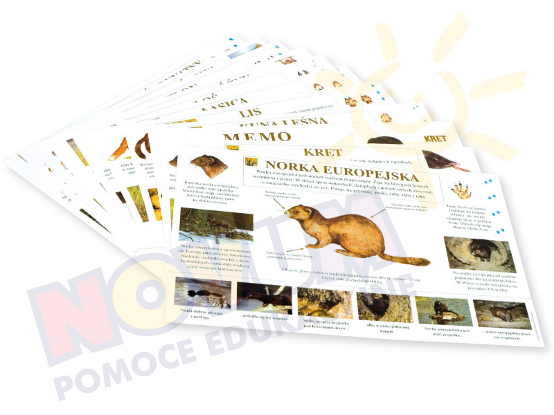 Novum Plansze edukacyje-płazy i gady