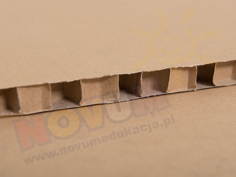 Novum Plaster miodu 500x700x15