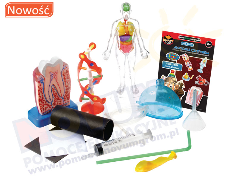 Novum Profesor Albert - anatomia człowieka