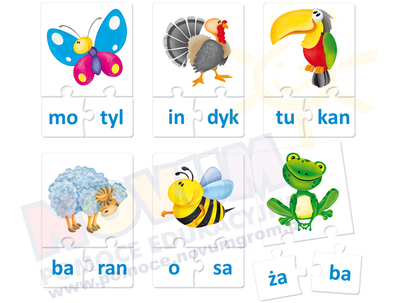 Novum Układam i czytam